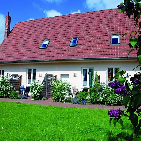 Stilvolles Studio Nahe Mueritzsee In Buchholz דירה Buchholz (Mecklenburg-Vorpommern)