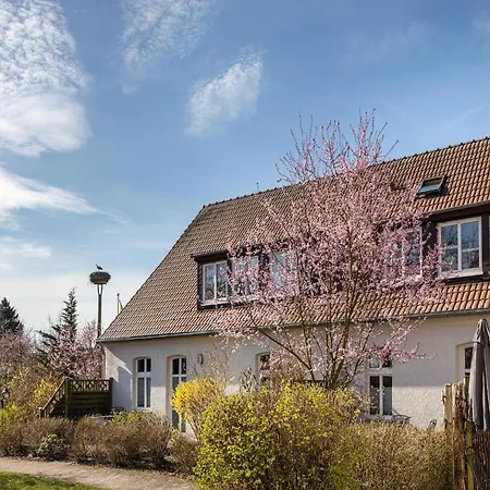 Stilvolles Studio Nahe Mueritzsee In Buchholz *