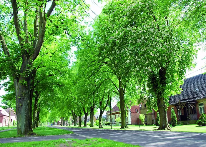 Lägenhet In Am Mueritzsee